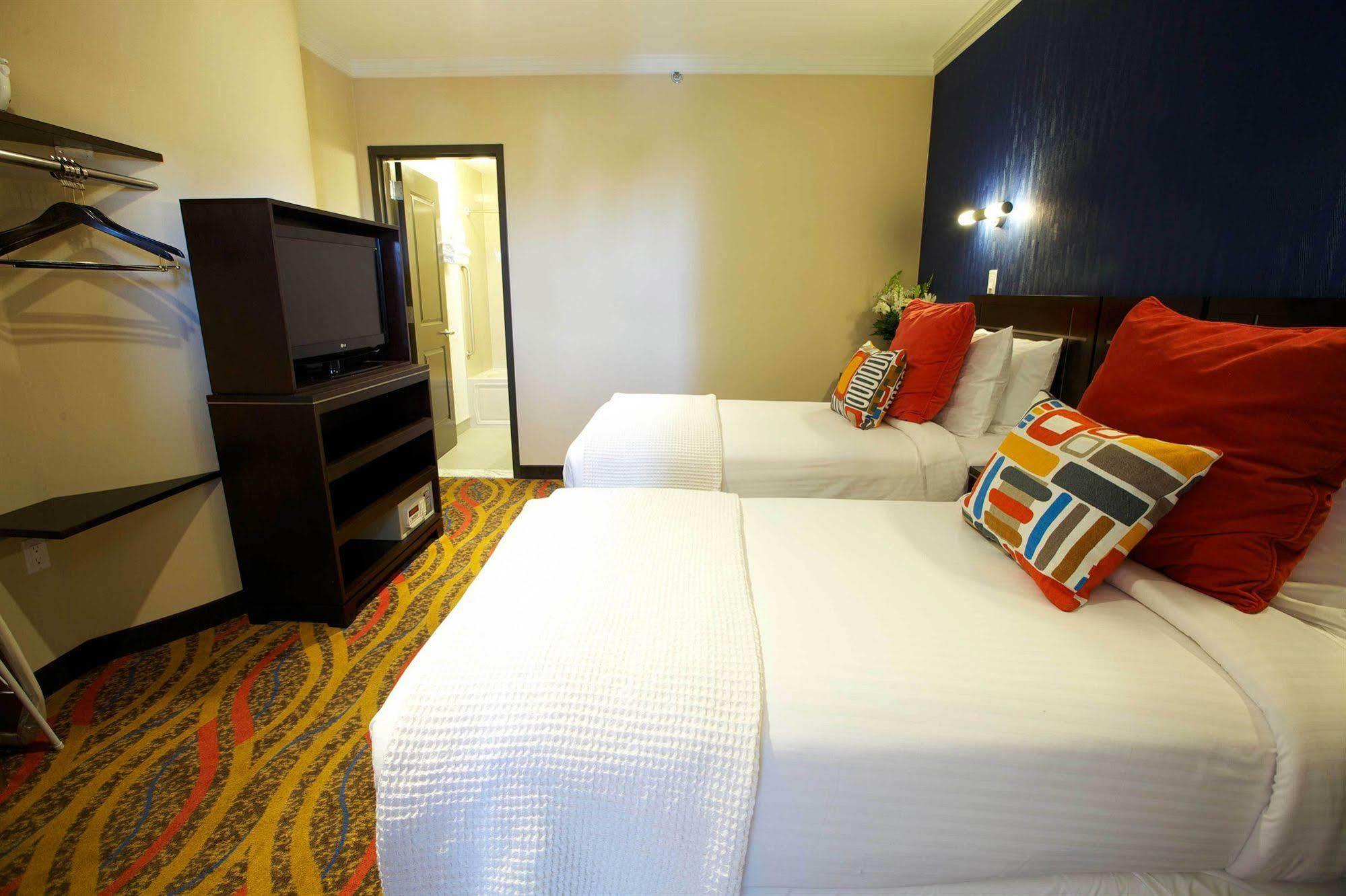 Double or Twin Room,1210681651:JPEG