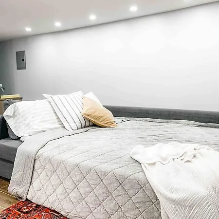 Luxury Apartment With Backyard + Close Transportation-3