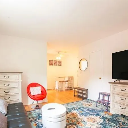 Charming And Comfortable 1Br Condo Unit In Nyc Condo-3