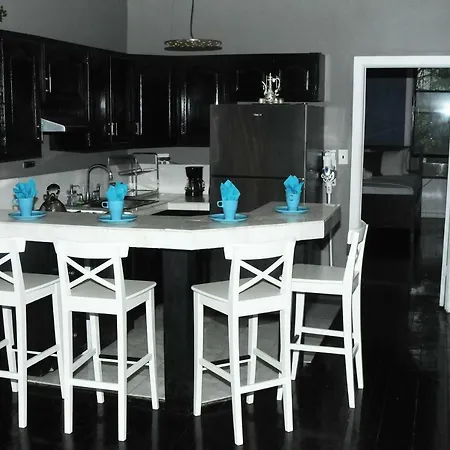 Plush Spacious 1 Bedroom Apt Williamsburg-3